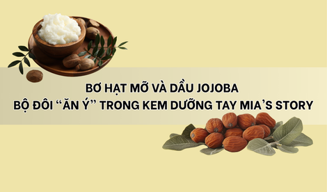 Bơ hạt mỡ và dầu jojoba – Bộ đôi “ăn ý” trong kem dưỡng tay Mia’s story